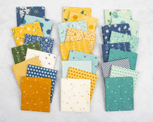 Load image into Gallery viewer, Daisy Fields Fat Quarter Bundle