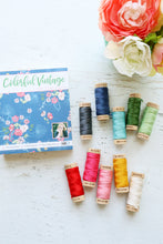 Colorful Vintage Floss Collection